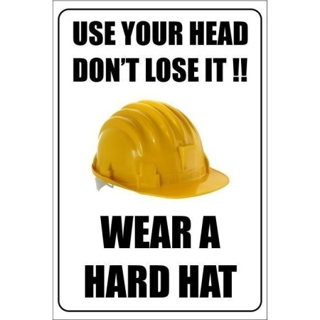 Use Your Head Don't Lose It hard hat safety poster