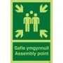 Glow in the Dark Welsh and English Assembly Point Safety Sign