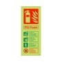 Glow in the dark P50 foam fire extinguisher identification safety sign