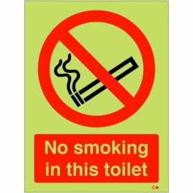 Glow in the dark no smoking in this toilet prohibition safety sign