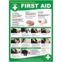 First aid emergency guidance workplace poster