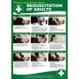 Resuscitation of adults CPR first aid poster