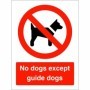 No Dogs Except Guide Dogs prohibition safety sign