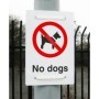  No Dogs Sign with prohibition symbol for restricted public and private areas